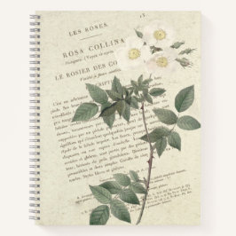 Vintage Rosa Collina Notitieboek