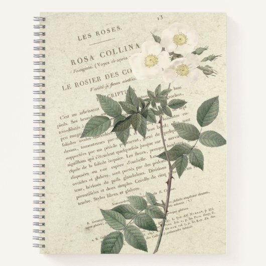 Vintage Rosa Collina Notitieboek (Voorkant)