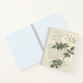 Vintage Rosa Collina Notitieboek (Binnen)