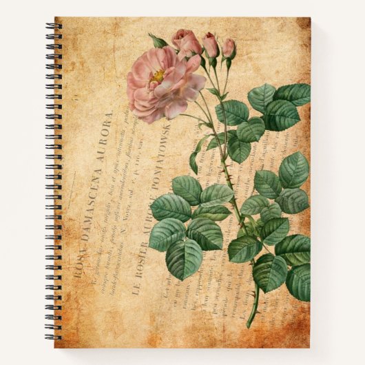Vintage Rosa Damascena Aurora Notitieboek (Voorkant)
