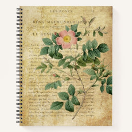 Vintage Rosa malmundariensis Notitieboek