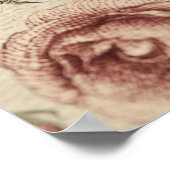 Vintage Rose Garden Botanical Poster (Hoek)