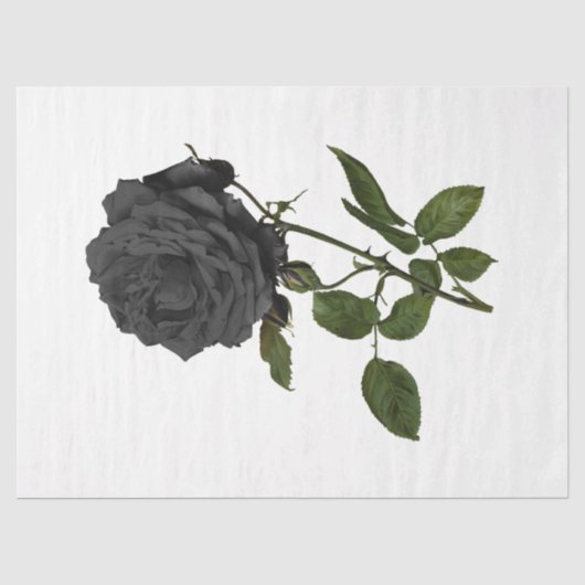 Vintage Rose Serie Design 39 Tissuepapier (Voorkant)