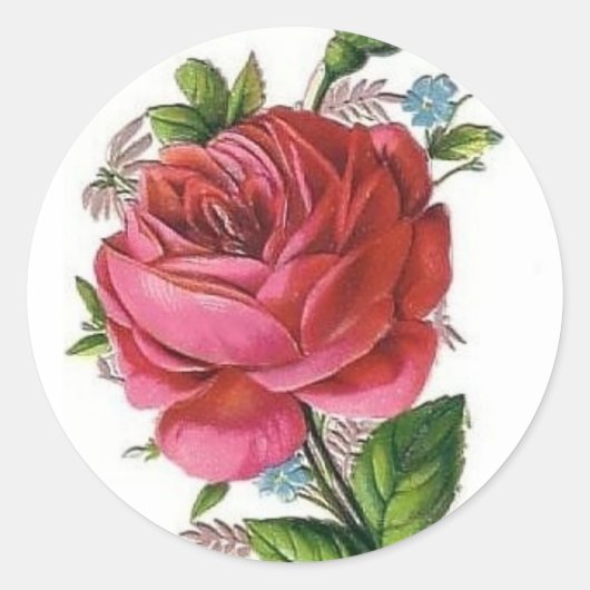 Vintage Rose sticker (Voorkant)