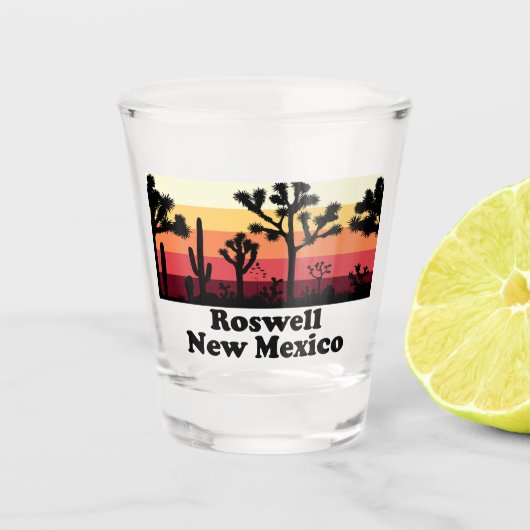 Vintage Roswell New Mexico Shot Glas (Voorkant)