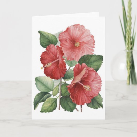 Vintage Roze Hibiscus, Kaart (Voorkant)