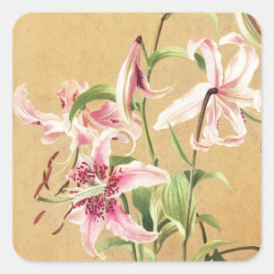 Vintage Roze Oosterse Lelie Botanische Bloem Kunst Vierkante Sticker