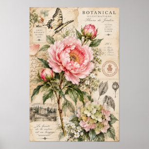 Vintage Roze Pioen Vlinder Botanische Muurkunst Poster