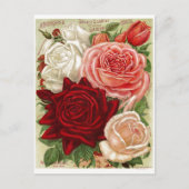 Vintage Rozen Briefkaart (Voorkant)