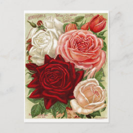 Vintage Rozen Briefkaart