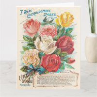Vintage Rozen Kleurrijke Mooie Ephemera Wenskaart