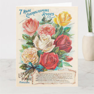 Vintage Rozen Kleurrijke Mooie Ephemera Wenskaart Kaart