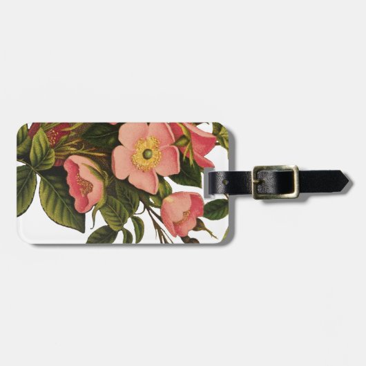 Vintage Rozen Mooie Roze Botanisch Bagagelabel (Voorkant horizontaal)