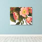 Vintage Rozen Mooie Roze Botanisch Canvas Afdruk (Insitu (Houten vloer))