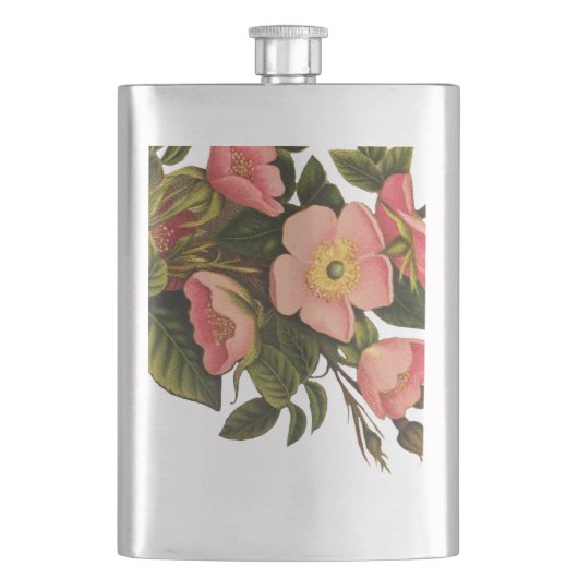 Vintage Rozen Mooie Roze Botanisch Flacon (Voorkant)
