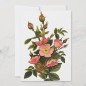 Vintage Rozen Mooie Roze Botanisch Kaart (Achterkant)