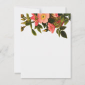 Vintage Rozen Mooie Roze Botanisch Kaart (Achterkant)