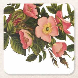 Vintage Rozen Mooie Roze Botanisch Kartonnen Onderzetters