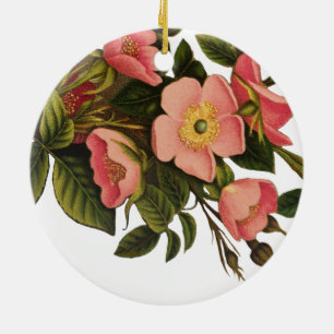Vintage Rozen Mooie Roze Botanisch Keramisch Ornament