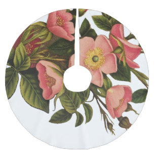Vintage Rozen Mooie Roze Botanisch Kerstboom Rok
