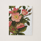 Vintage Rozen Mooie Roze Botanisch Legpuzzel (Verticaal)