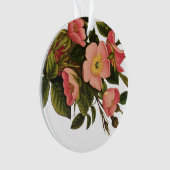 Vintage Rozen Mooie Roze Botanisch Ornament (voorkant)
