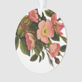 Vintage Rozen Mooie Roze Botanisch Ornament (voorkant)