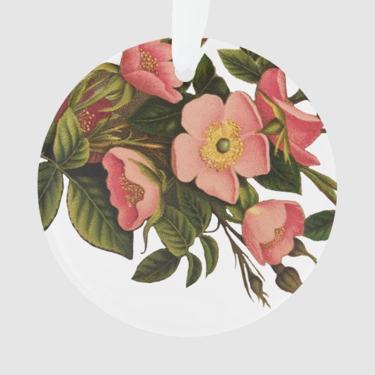 Vintage Rozen Mooie Roze Botanisch Ornament (voorkant)