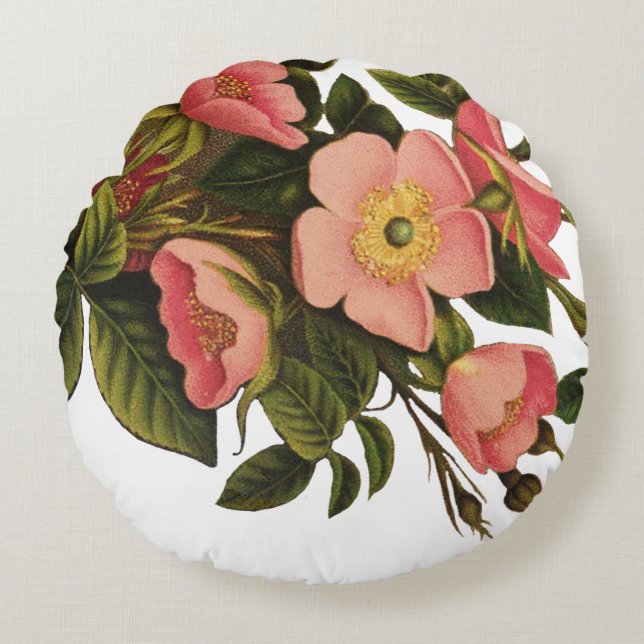 Vintage Rozen Mooie Roze Botanisch Rond Kussen (Voorkant)