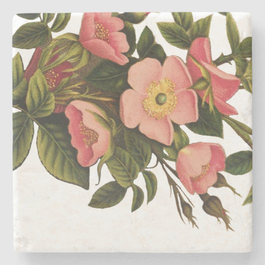 Vintage Rozen Mooie Roze Botanisch Stenen Onderzetter (Voorkant)