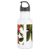 Vintage Rozen Mooie Roze Botanisch Waterfles (Achterkant)