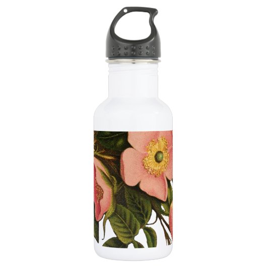 Vintage Rozen Mooie Roze Botanisch Waterfles (Voorkant)