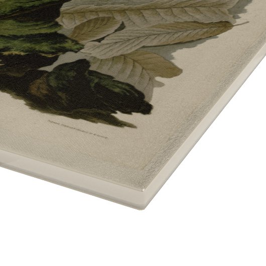 Vintage Ruffed Grouse Audubon Snijplank (Hoek)