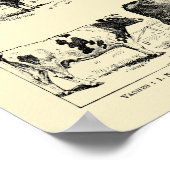 Vintage Rundvee Kunst door Adolphe Millot Poster (Hoek)