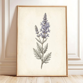 Vintage Russische Salie Botanische Canvas Poster