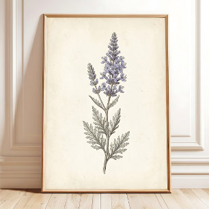 Vintage Russische Salie Botanische Canvas Poster