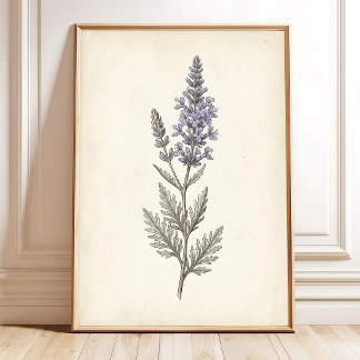 Vintage Russische Salie Botanische Canvas Poster