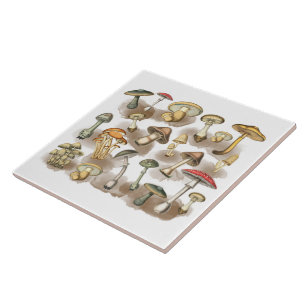 Vintage Rustic Forest Mushrooms Tegeltje