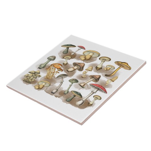 Vintage Rustic Forest Mushrooms Tegeltje (Zijkant)
