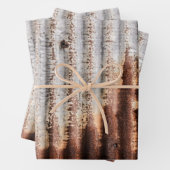 Vintage Rusty Metal Inpakpapier Vel (In situ)