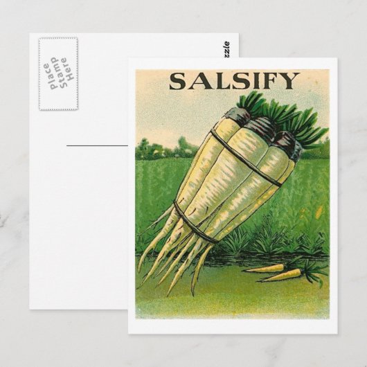 vintage salsify seed packet postcard briefkaart (Voorkant / Achterkant)