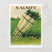 vintage salsify seed packet postcard briefkaart (Voorkant)