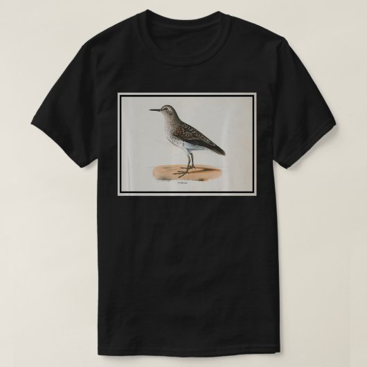 Vintage Sandpiper Bird Illustration (1842) queen  T-shirt (Design voorkant)