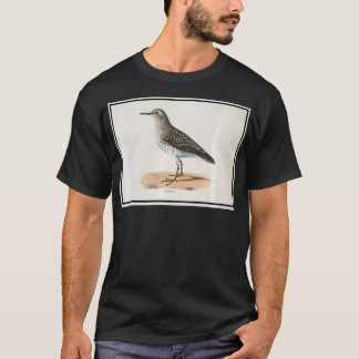 Vintage Sandpiper Bird Illustration (1842) queen  T-shirt