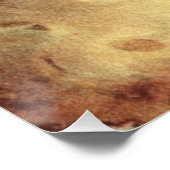 vintage santa poster (Hoek)