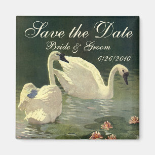 Vintage Save the Date! Mooie zwanen zwemmen Magneet
