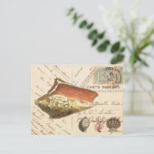 Vintage schelp en zeeschelpen, briefkaart (Staand voorkant)