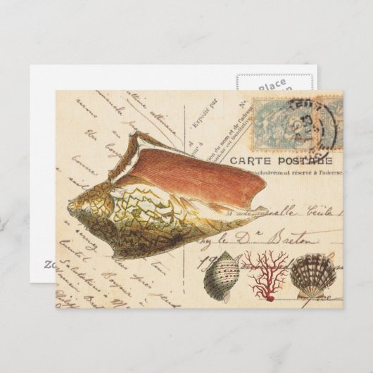 Vintage schelp en zeeschelpen, briefkaart (Voorkant / Achterkant)
