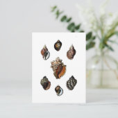 Vintage schelpen briefkaart (Staand voorkant)