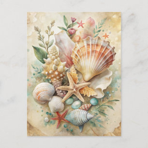 Vintage Schelpen Zeester Oceaan Strand Kust Briefkaart